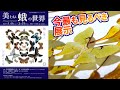 【世界の蛾】展示「美しい蛾の世界」を見に行った！【昆虫標本】