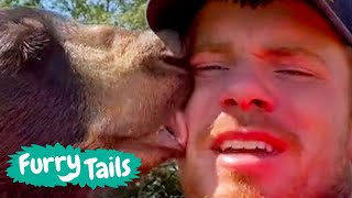 BTS of an sanctuary animal caretaker | Furry Tails