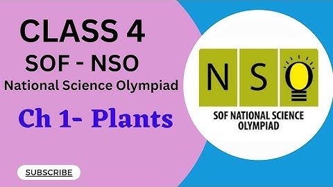 Class 4/SOF-NSO/Chapter 1-Plants