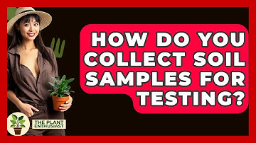 How Do You Collect Soil Samples For Testing? - The Plant Enthusiast