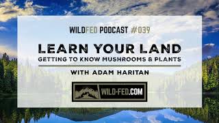 Learn Your Land, Getting to Know Mushrooms & Plants with Adam Haritan — WildFed Podcast 039