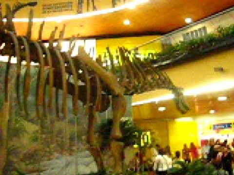 jesse y los dinosaurios 073