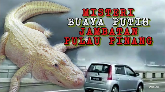Kisah Jelmaan Buaya Putih Di Tasik Dayang Bunting Langkawi Menakutkan Pelancong Youtube