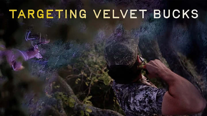 Targeting Velvet Bucks (Bowhunting Public Land) | HUNT RECAP SZN 1 | EP. 1