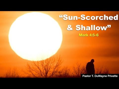 Sabbath Service July 25, 2020 &quot;Sun-Scorched and Shallow&quot;