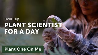 A Day in the Life of a PLANT SCIENTIST — Ep. 354 by Summer Rayne Oakes 13,787 views 4 months ago 32 minutes