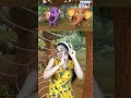 🐘 Ek Mota Hathi | एक मोटा हाथी #shorts #shortsfeed