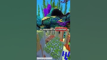 Why do we sneeze (The Purpose of Sneezing): #educational #reasoning