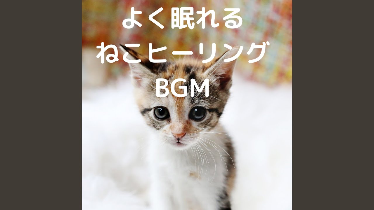 癒しねこ Healing Cat Shazam