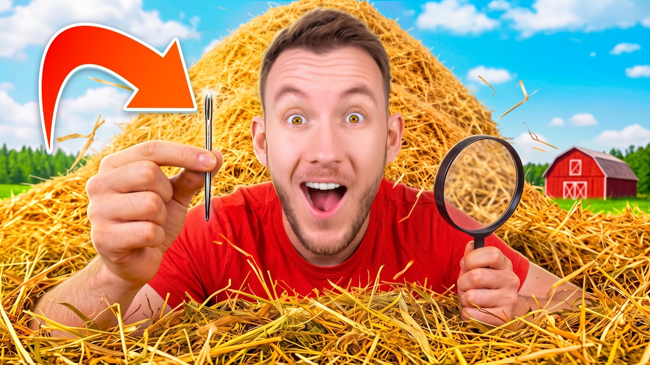 Najdu JEHLU v KUPĚ SENA? 🪡 | Find the Needle #1