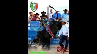 RETO RETO JOEL DE CHAUCINGO VS EL MARLIN EN CHICAGO IL DOM 12, AGOSTO 2018.