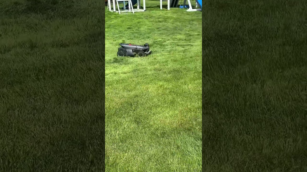 Who cuts your grass?