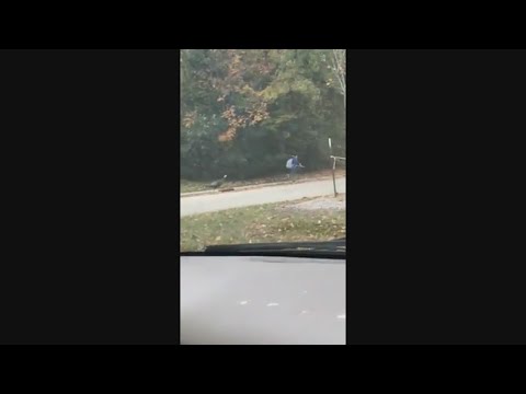 Turkey Chase