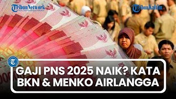 Gaji PNS 2025 Naik 16 Persen? Berikut Pernyataan BKN dan Menko Airlangga