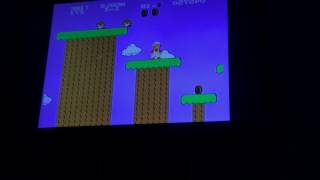 Princess BITCH/ Mario brothers