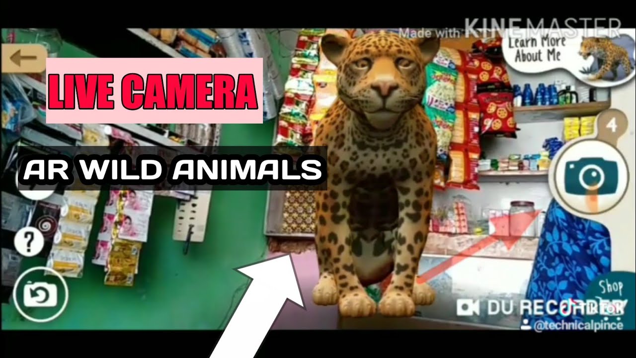 Wild animal s live camera app 😎