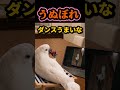 自分の姿を見つめてる