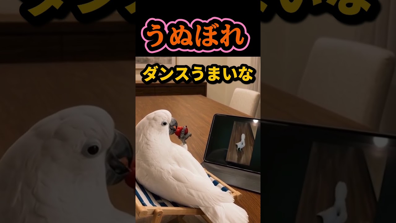 自分の姿を見つめてる