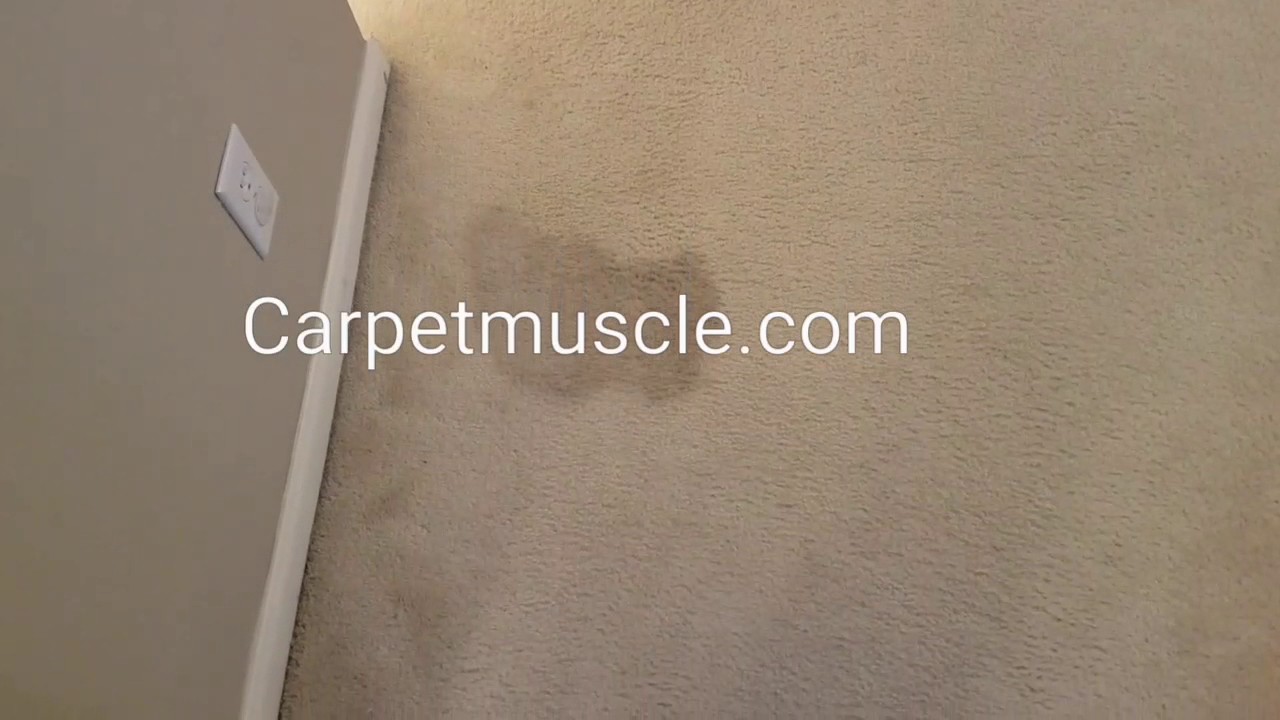 Carpet cleaning by Corey Thibodaux. YouTube