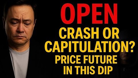 OPEN: Crash or Capitulation? The Truth About the Future Price of This Dip