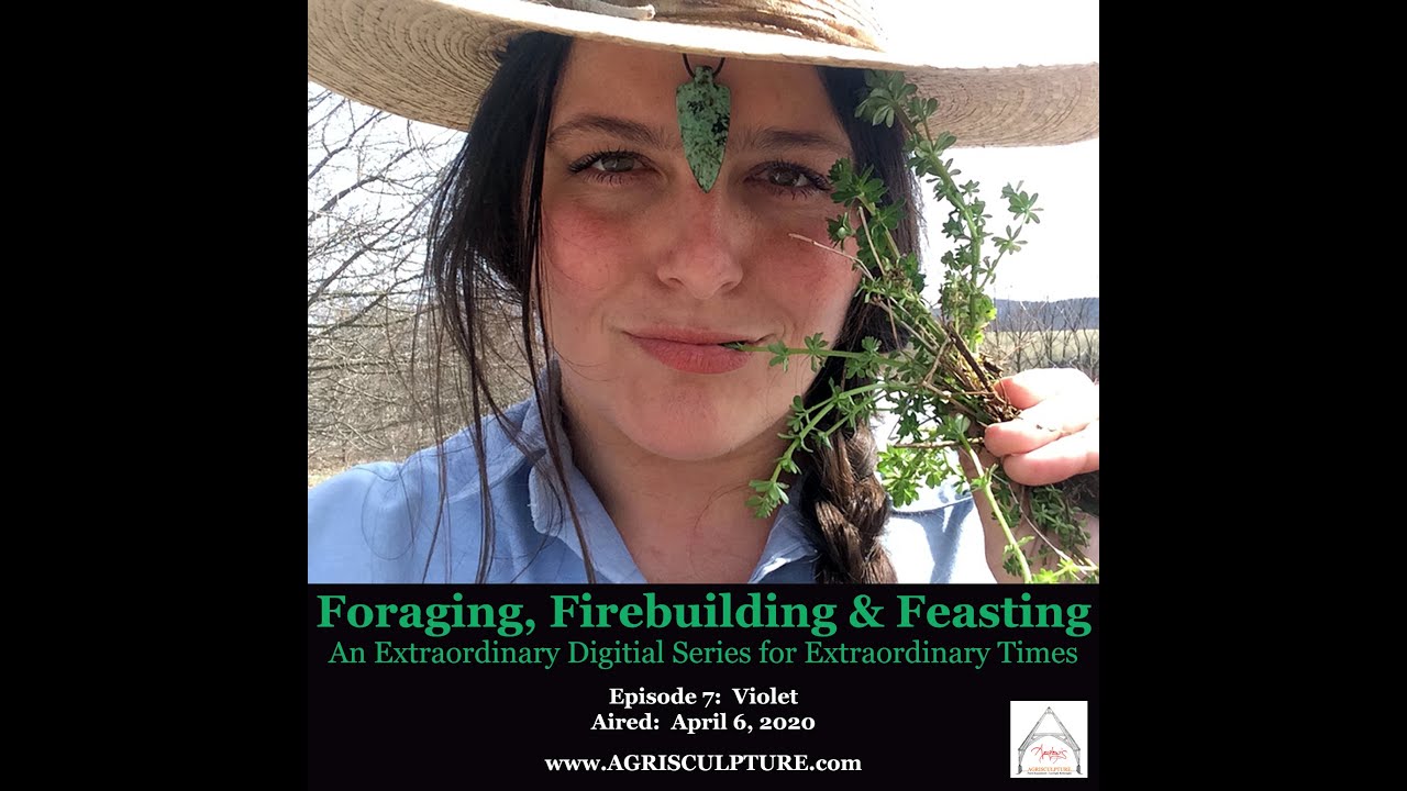 "FORAGING, FIREBUILDING & FEASTING" : EPISODE 7 - VIOLET