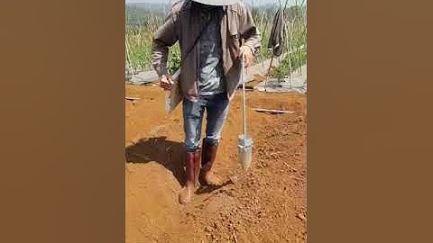 Giới thiệu dụng cụ trồng cây con cực nhanh và hiệu quả của Thành Phát