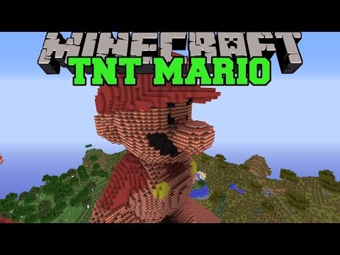 Minecraft: MARIO (JUMP & USE POWER UPS IN EPIC LEVELS 