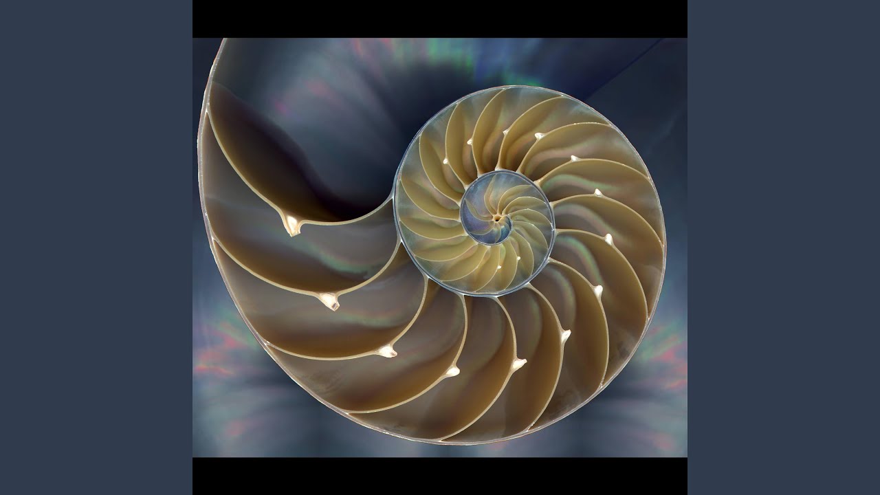 Watch Nautilus on YouTube Watch Nautilus on YouTube