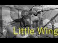 Little Wing （ジミヘン Jimi Hendrix acoustic cover)