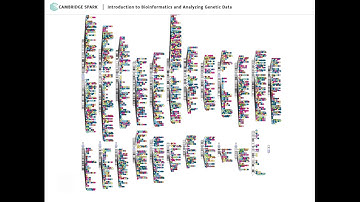 Introduction to Bioinformatics and Analyzing Genetic Data Tech Talk