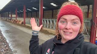 New Livestock Shed