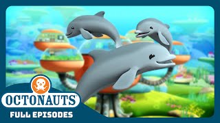 @Octonauts   The Dolphin Reef Rescue  ⛑ | Season 1 | Full Episodes | Cartoons for Kids