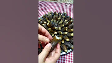 طريقة عمل المكدوس خطوة بخطوة بطريقة سهلة ومضبوطة تدوم لسنوات Recipe مكدوس الباذنجان Shorts 