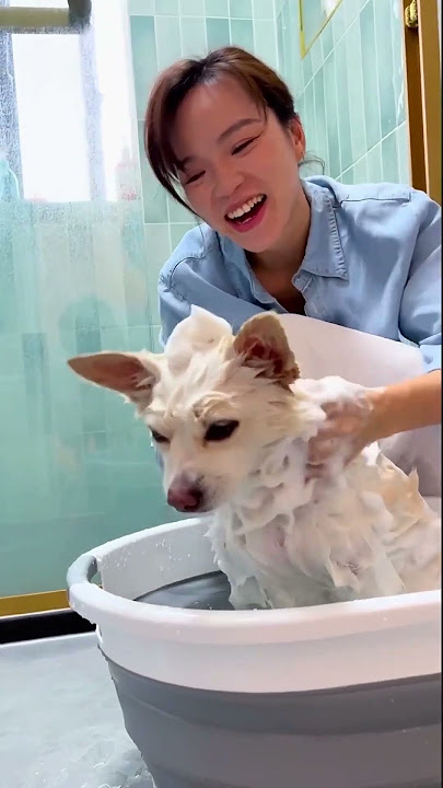 Jackie and Jackie’s mommy have got a new dog.🥰 #shorts #youtubeshorts #viralshorts