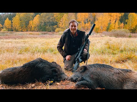 Video: De Bästa Vandringarna För Hösten