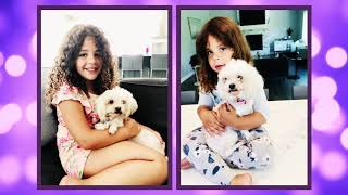 Second Chance Program -- Cookie, Bobbie, Ellie and Tinky