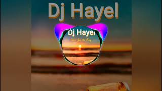 Remix (الخوف يرجف الخواف&الريشة الي عراسك)By DJ HAYEL