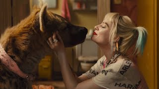 Birds Of Prey Official Trailer 2