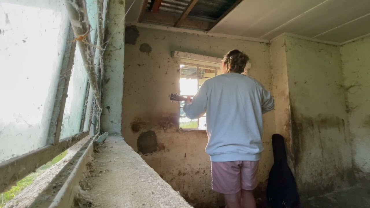 Caleb King Cover  - Carpenter Boy  - Shane