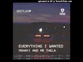 Mr Thela & Mshayi - Everything I Wanted Bootleg