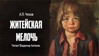 «Житейская мелочь». А.П.Чехов. Читает Владимир Антоник. Аудиокнига by Литературный Театр Владимира Антоника 34,383 views 2 weeks ago 15 minutes