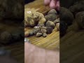 ट्रफल: इटली का सफेद सोना   [Truffles – Italy's White Gold]