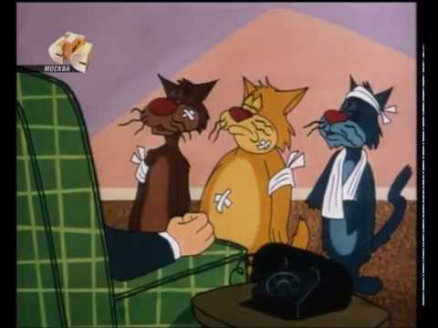 109 Woody Woodpecker Sufferin Cats Youtube 109 Woody Woodpecker Sufferin Cats Youtube