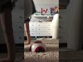 loop Part 2... #loop #funny #shorts