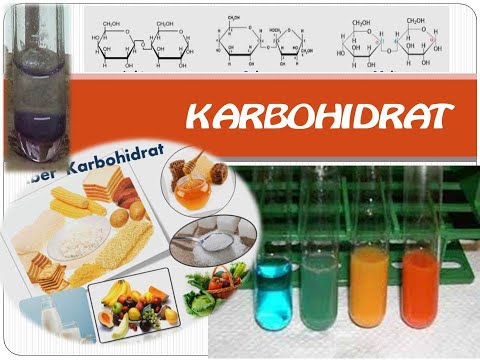 karbohidrat-(pengertian,-struktur,-jenis,-dan-analisis-kualitatifnya)