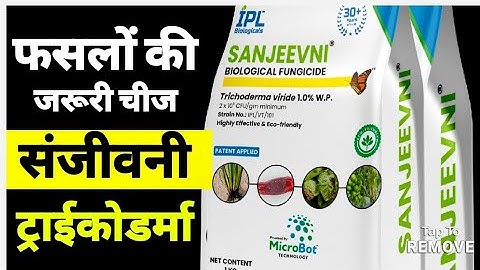 Trichoderma fungicides full information | ट्राइकोडर्मा का मृदा में क्या काम हैं BIOLOGICAL FUNGICIDE