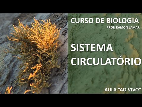 SISTEMA CIRCULATÓRIO