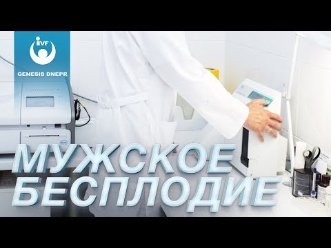 Диагностика и лечение мужского бесплодия. Мужское здоровье, потенция. Андролог в GENESIS DNEPR