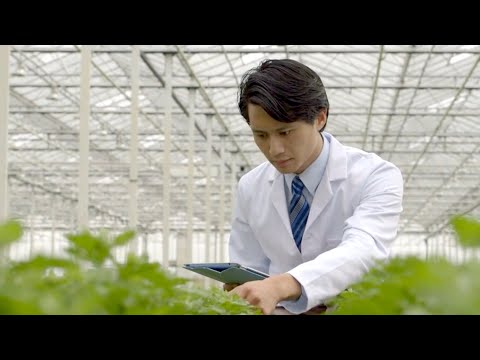 Video: Varför är innovation viktigt för jordbruket?