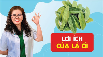 Lợi Ích Của Lá Ổi Có Thể Bạn Chưa Biết | Dược Sĩ Nguyên 5G